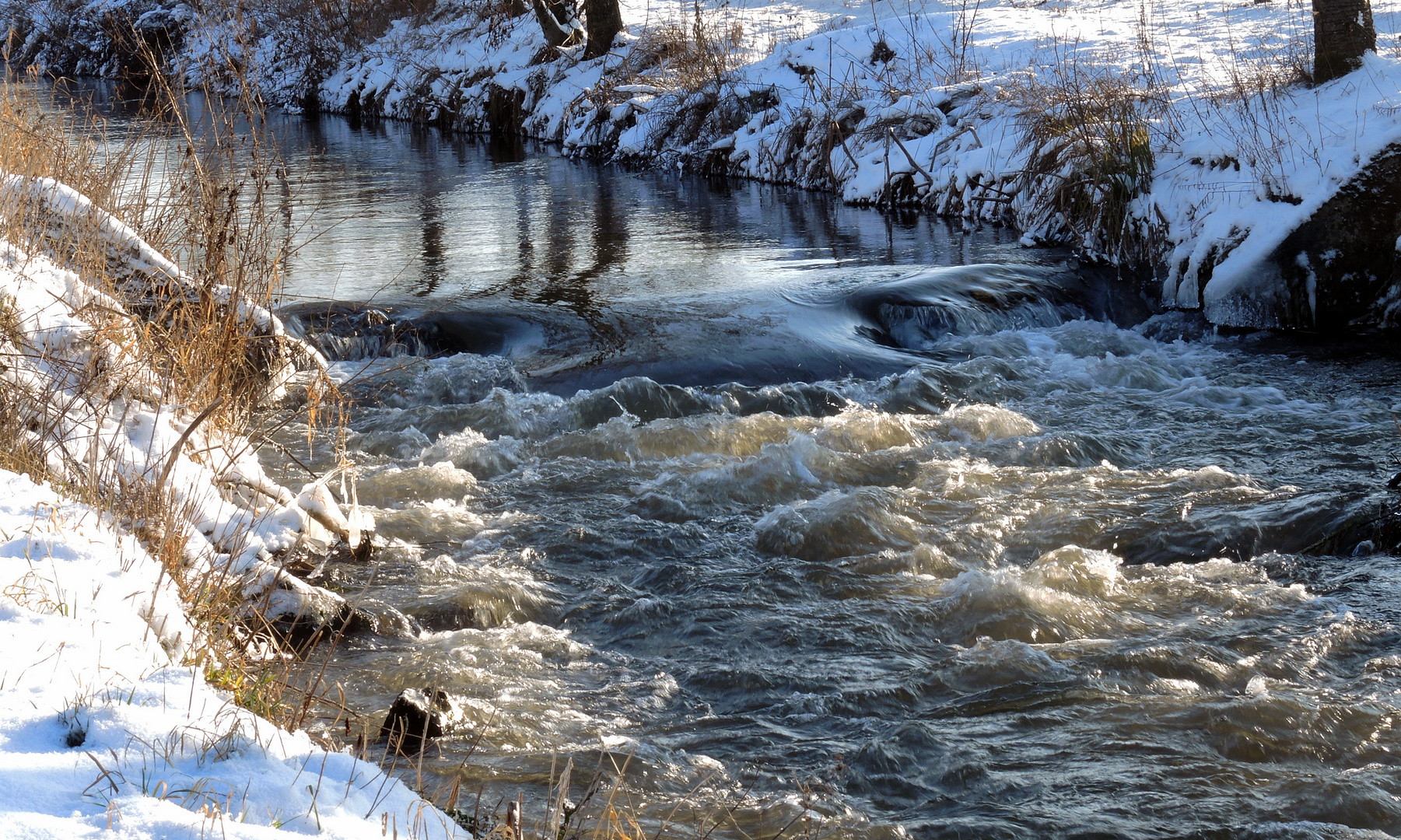 Solgleite in der Friedberger Ache bei Scherneck