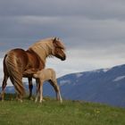 Sólida & Ísar