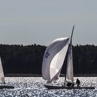 SOLING EUROPAMEISTERSCHAFT BERLIN MÜGGELSEE #16