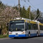 Solingen O-Bus Linie 681