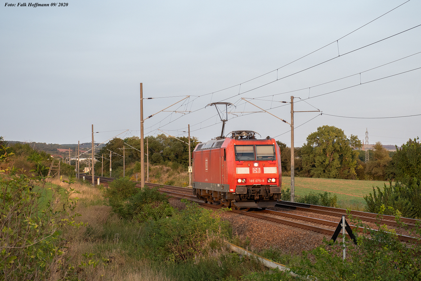 Solistin im Abendlicht