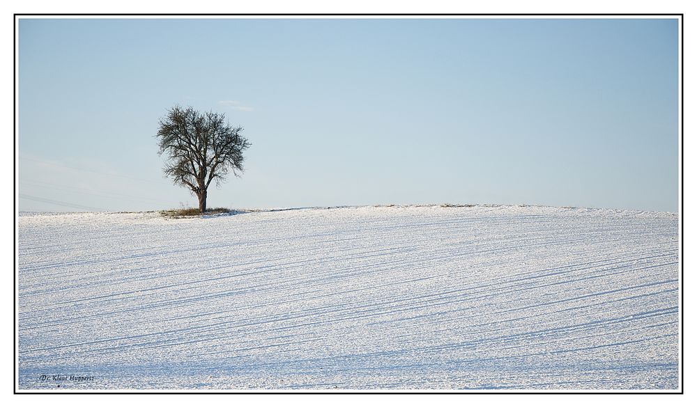 Solitär