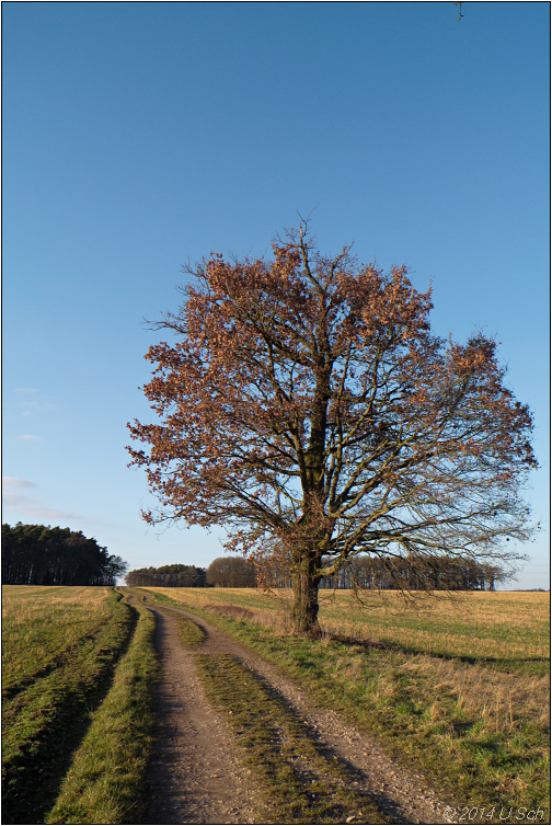 Solitär