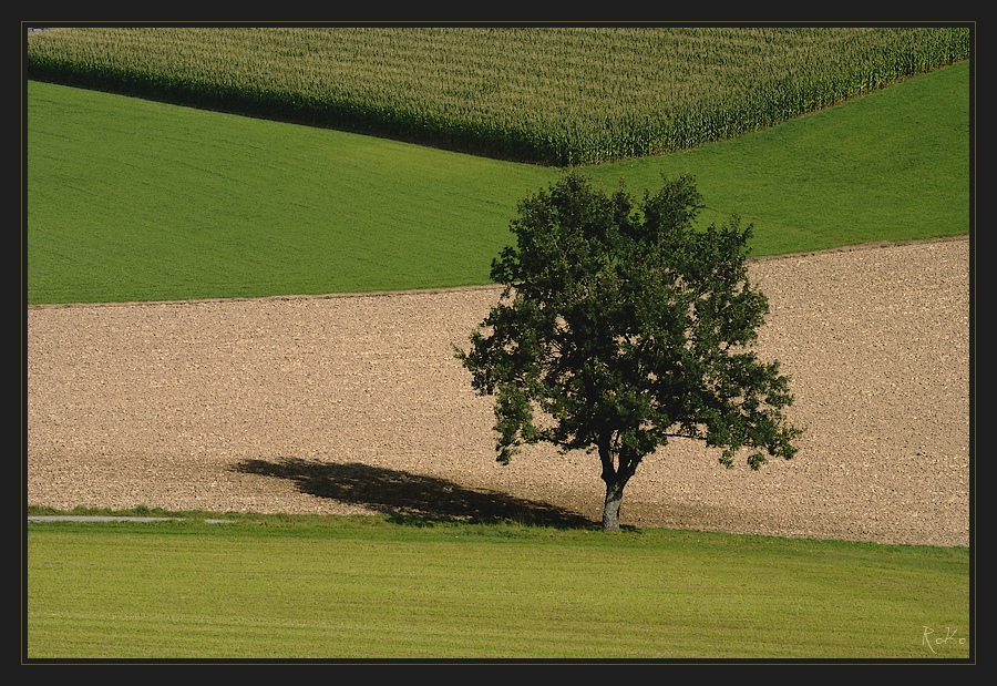 Solitär