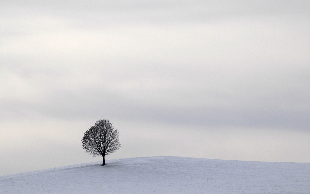 Solitär