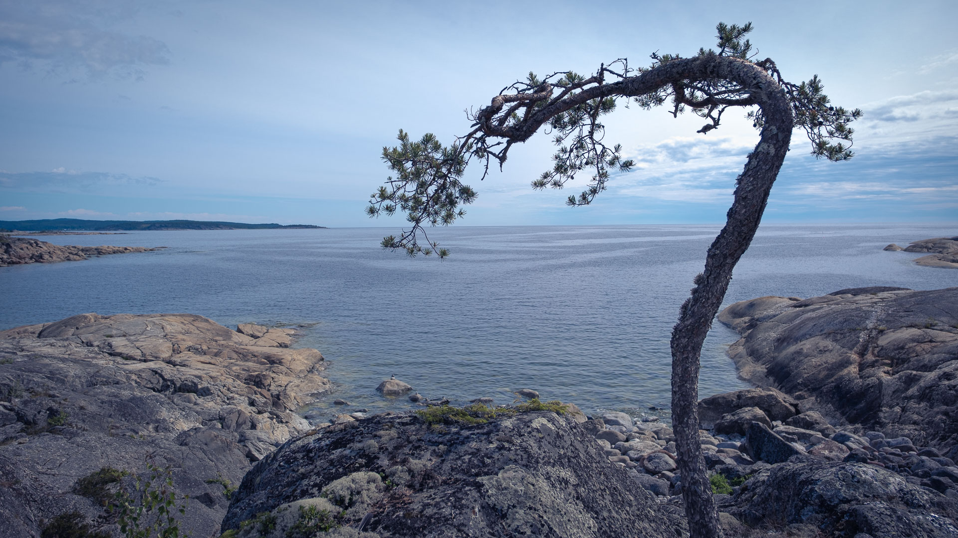 solitär