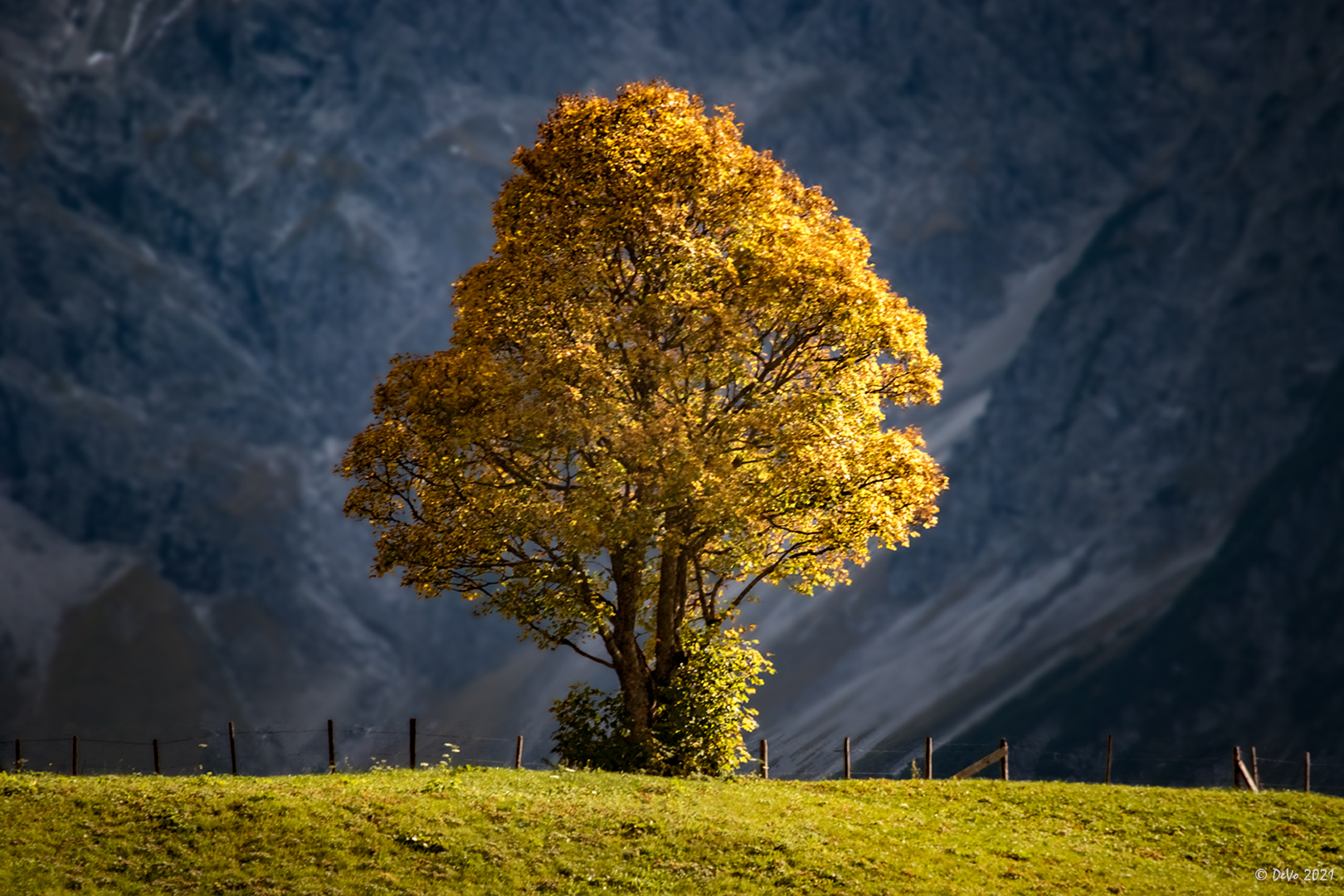 Solitär