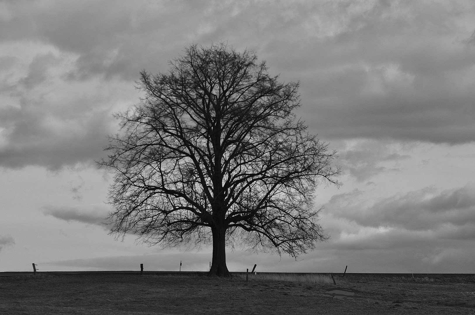 Solitär