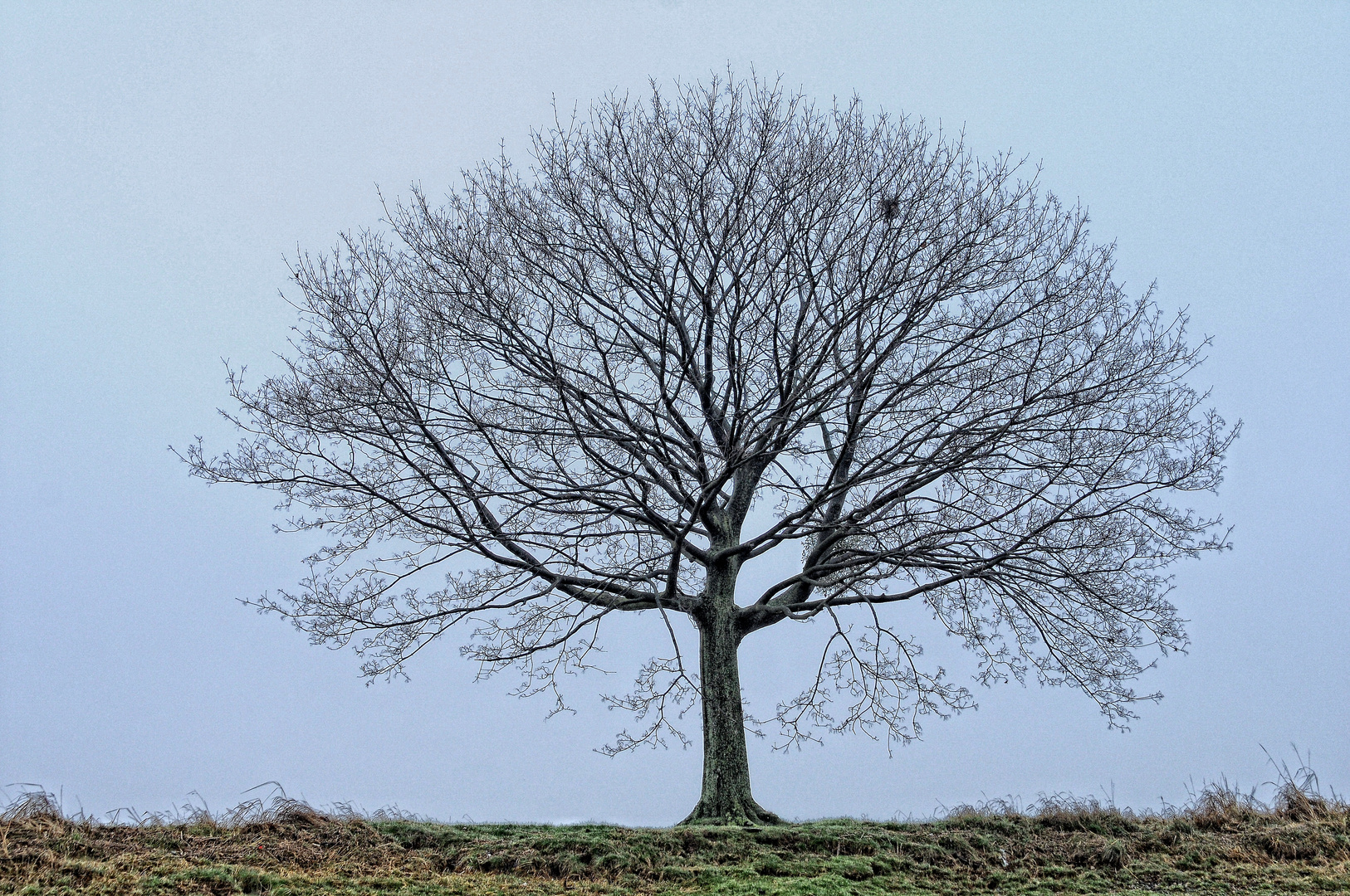 Solitär