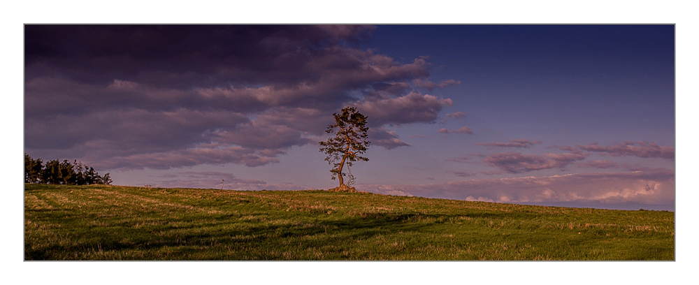 SOLITÄR