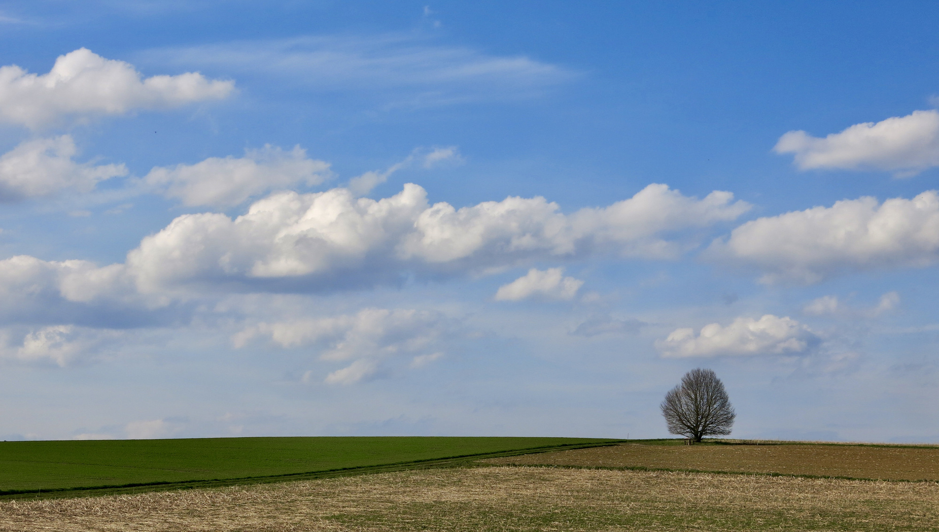 Solitär