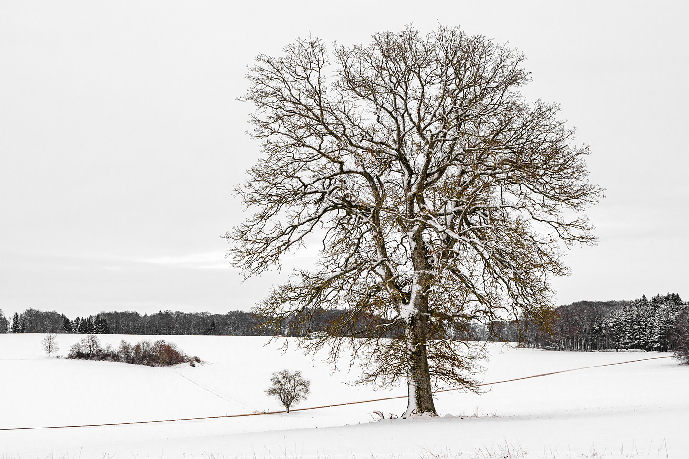 Solitär