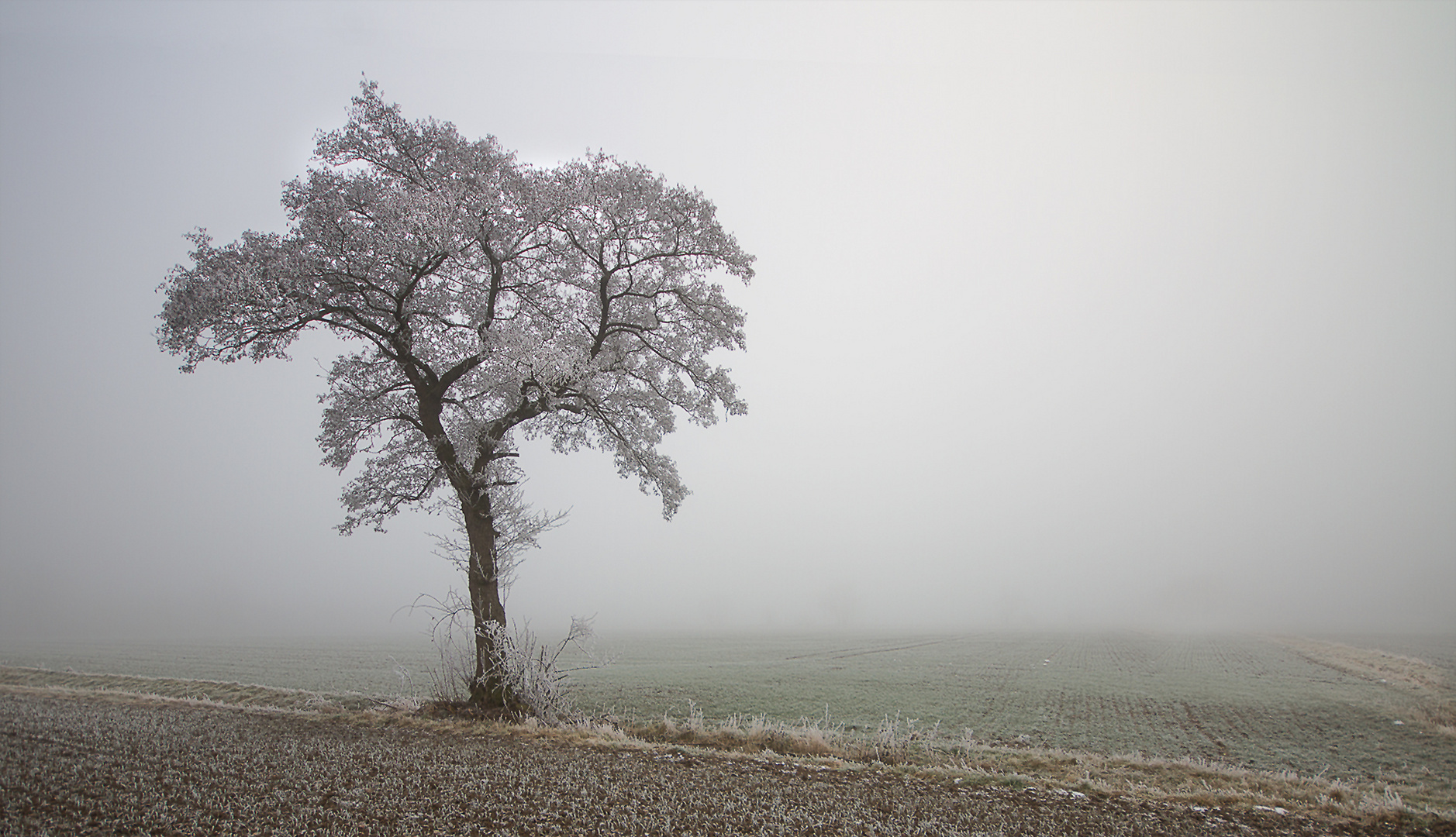 Solitär auf Zeit