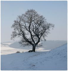 Solitär