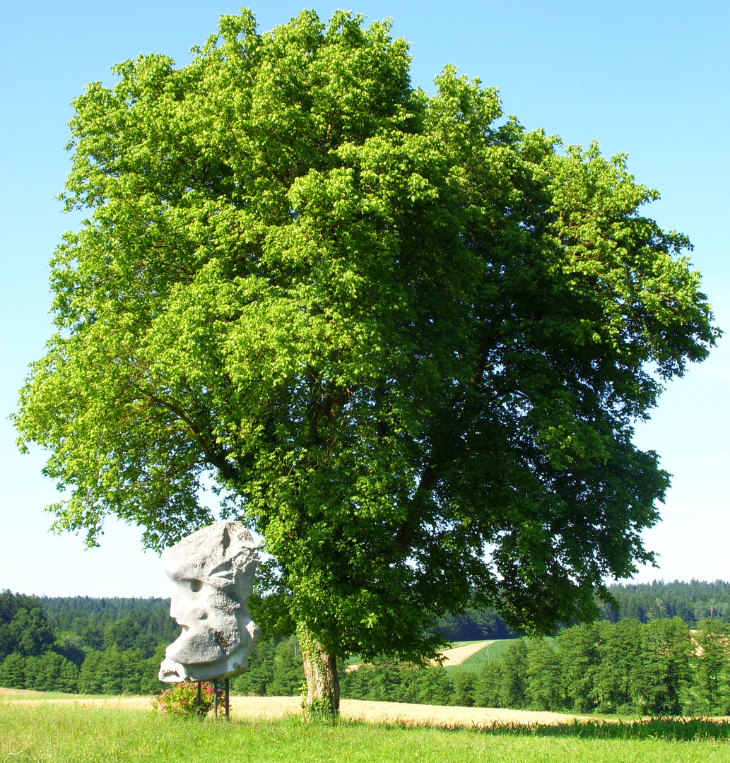 Solitär-Baum mit Skulptur in Slowenien