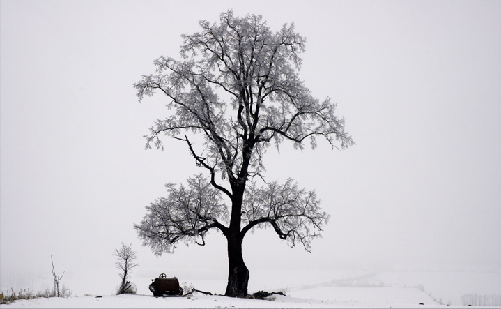 Solitär bei Bruck 2