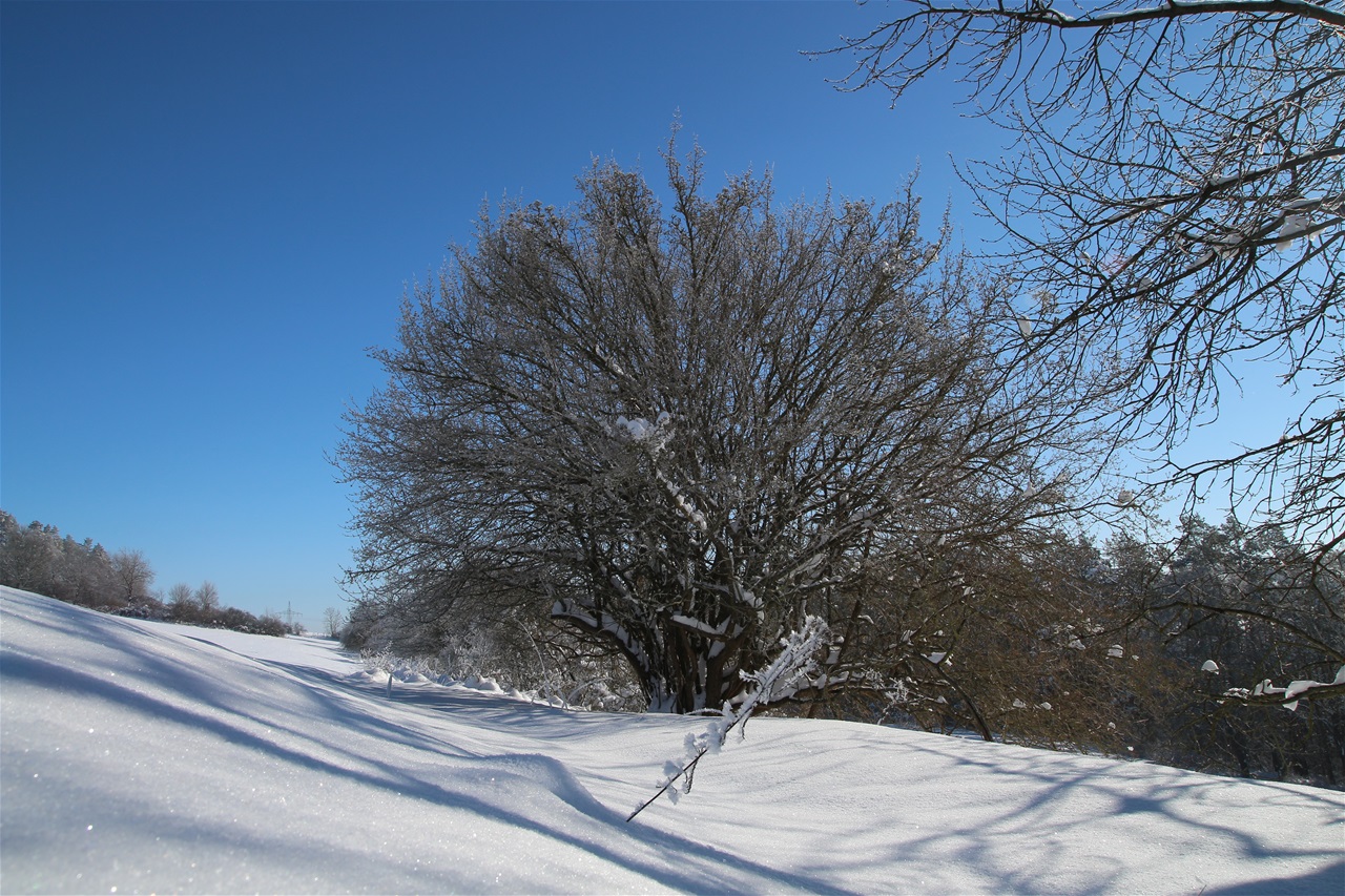 Solitär