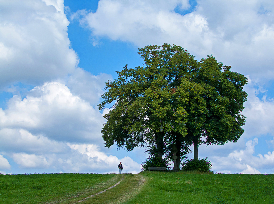 Solitär Ensemble