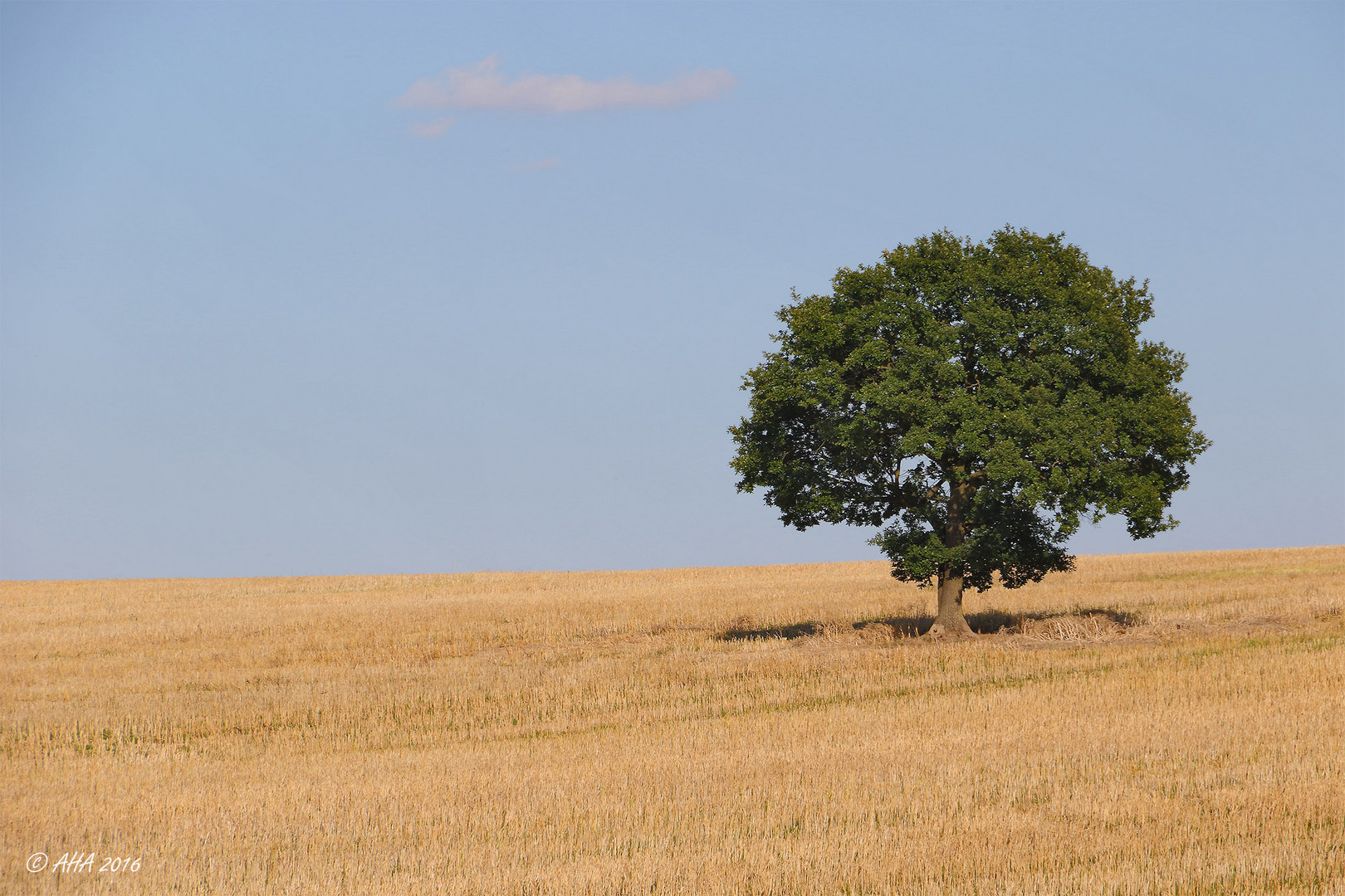 Solitär