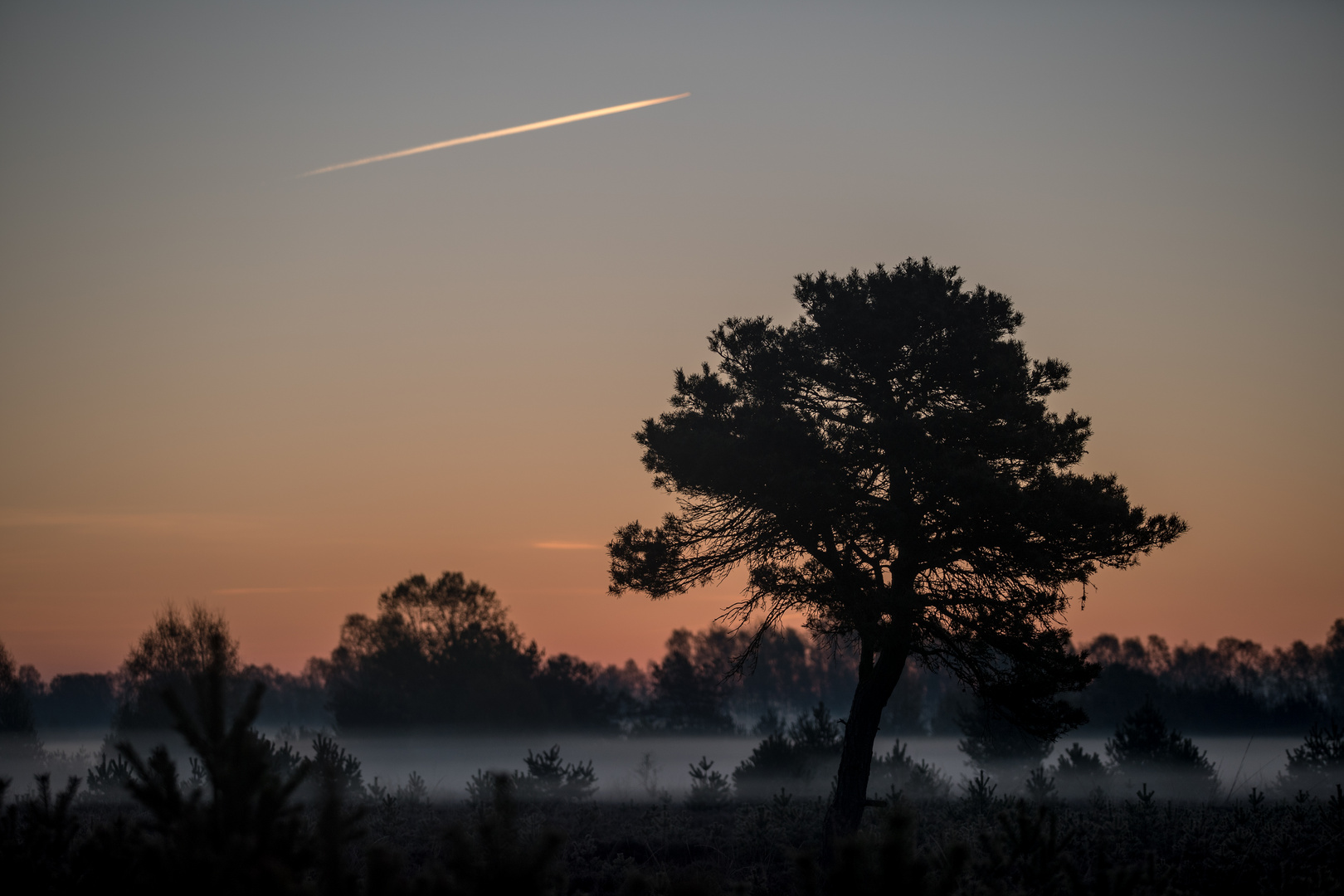 Solitär