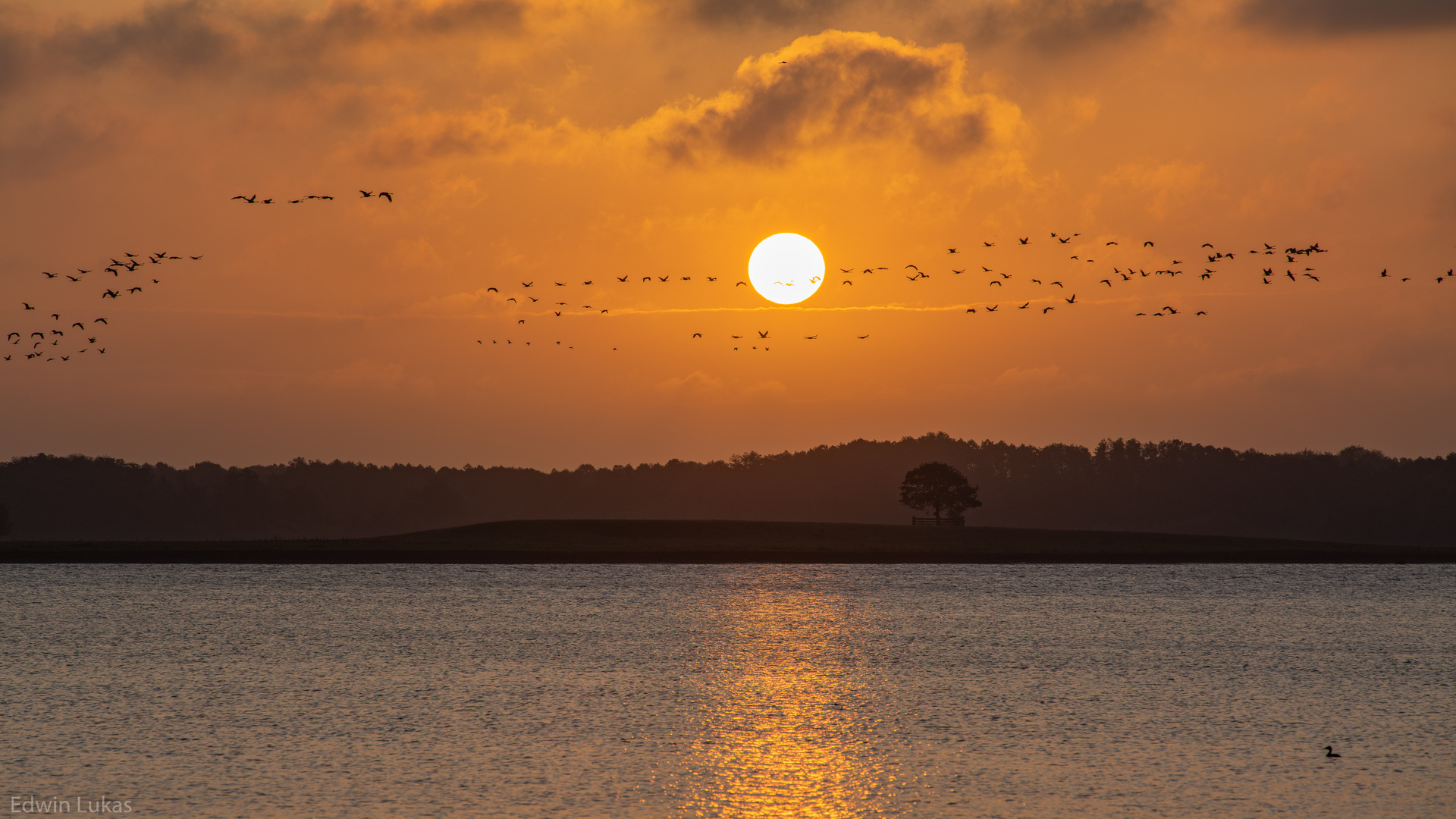 Solitär Großer Schwerin