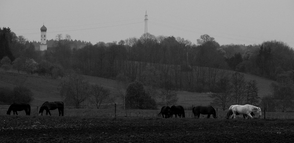 Solitär in Weiß