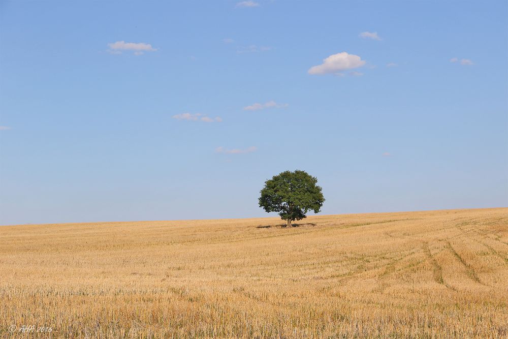 Solitär - mehr Distanz