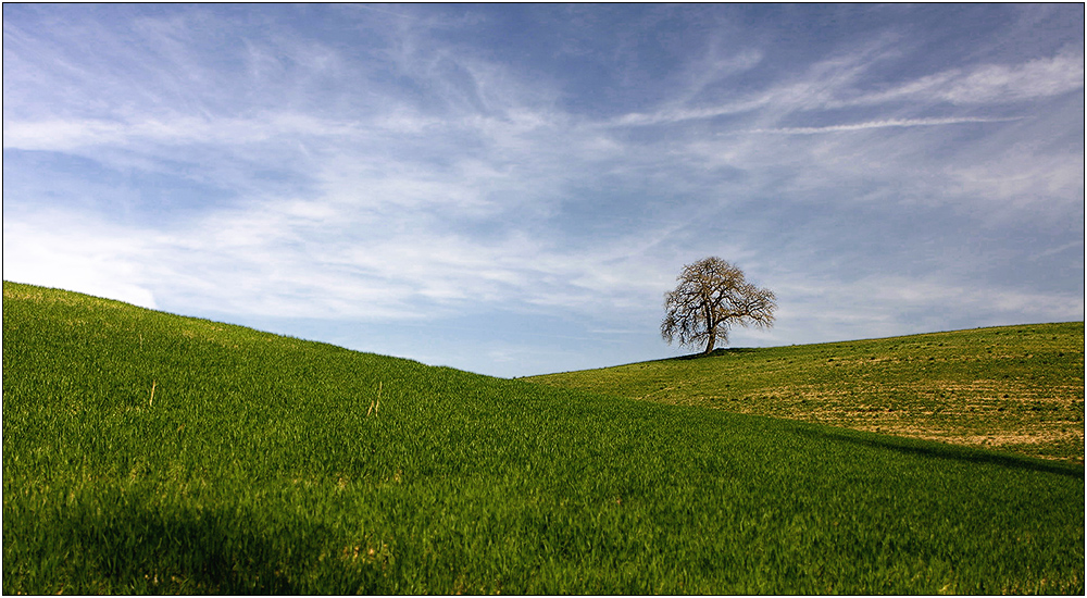 Solitäre