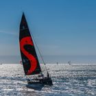 solitaire du figaro