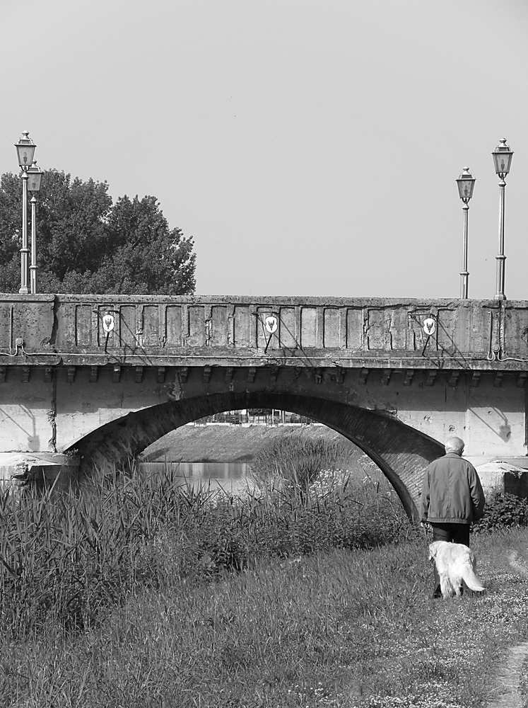 Solitario con il suo cane