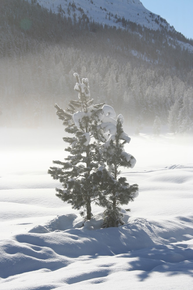 Solitario nella nebbia 2