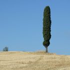 Solitario sulla collina