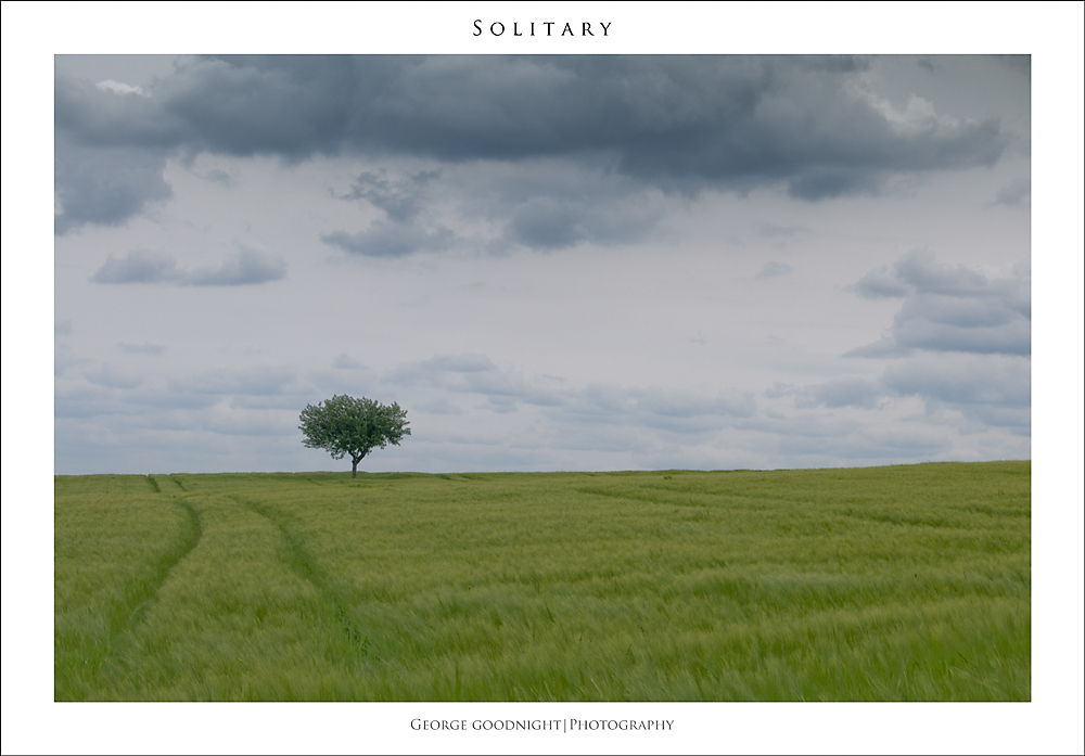 Solitary