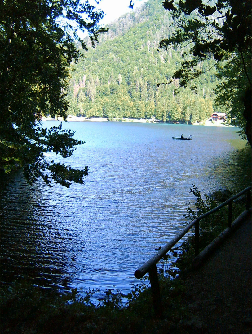 SOLITARY BOAT