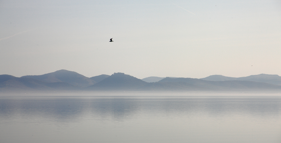 solitary flight