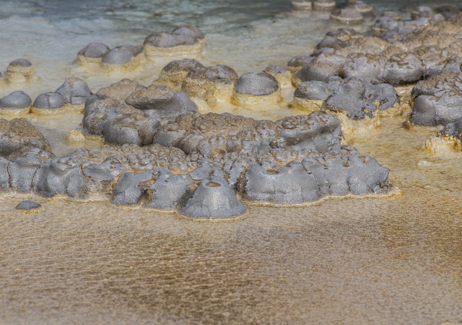 Solitary Geyser