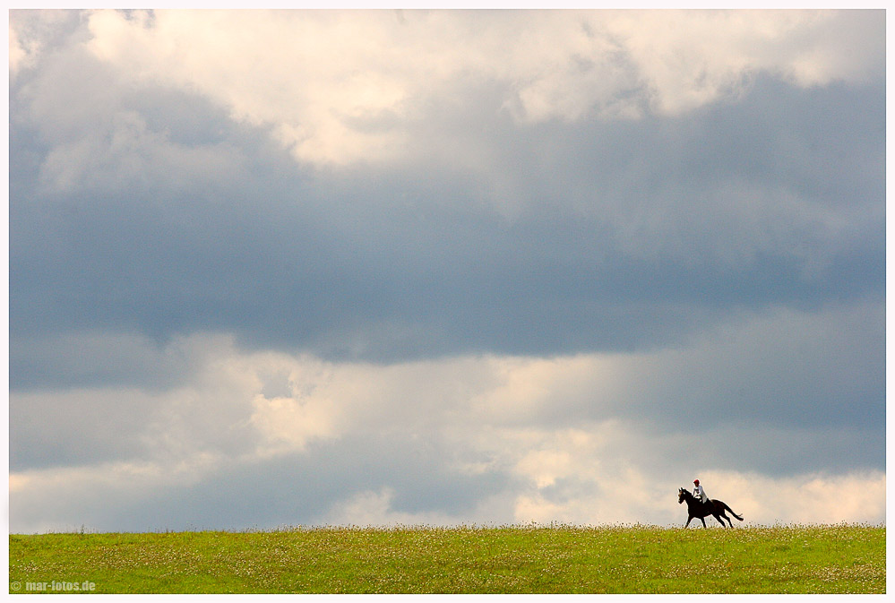 *** solitary horseman ***