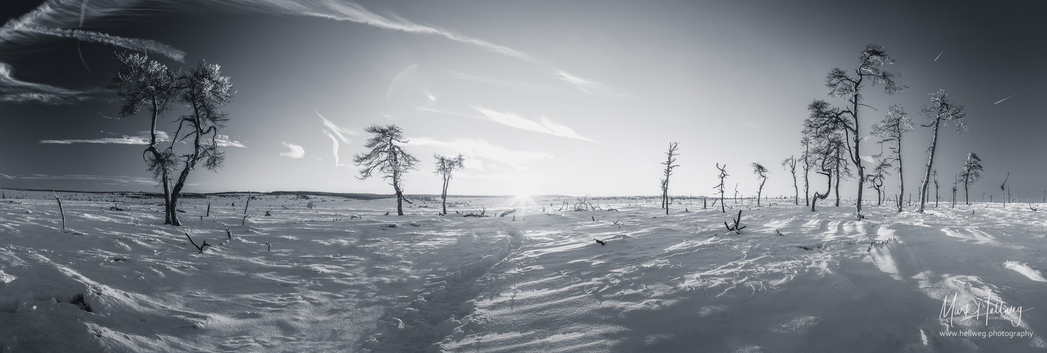 Solitary in desert - half Pano