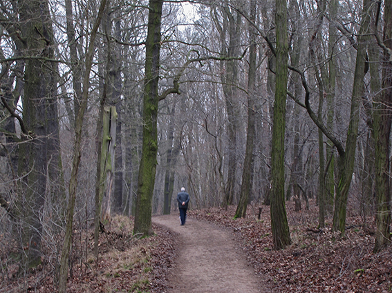 Solitary man