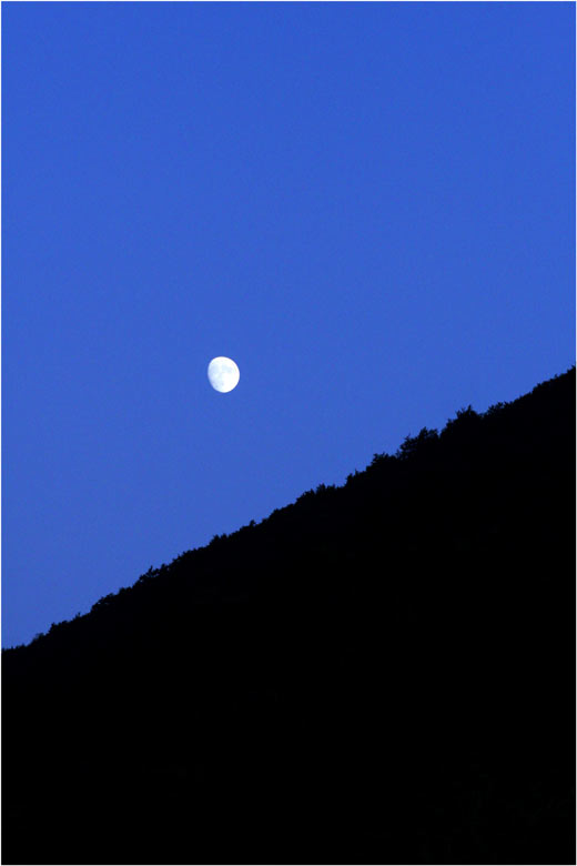 "Solitary moon"