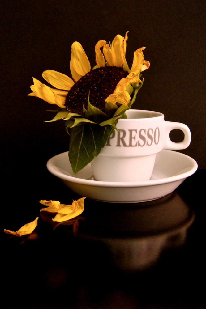 solito caffè con il girasole