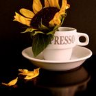 solito caffè con il girasole