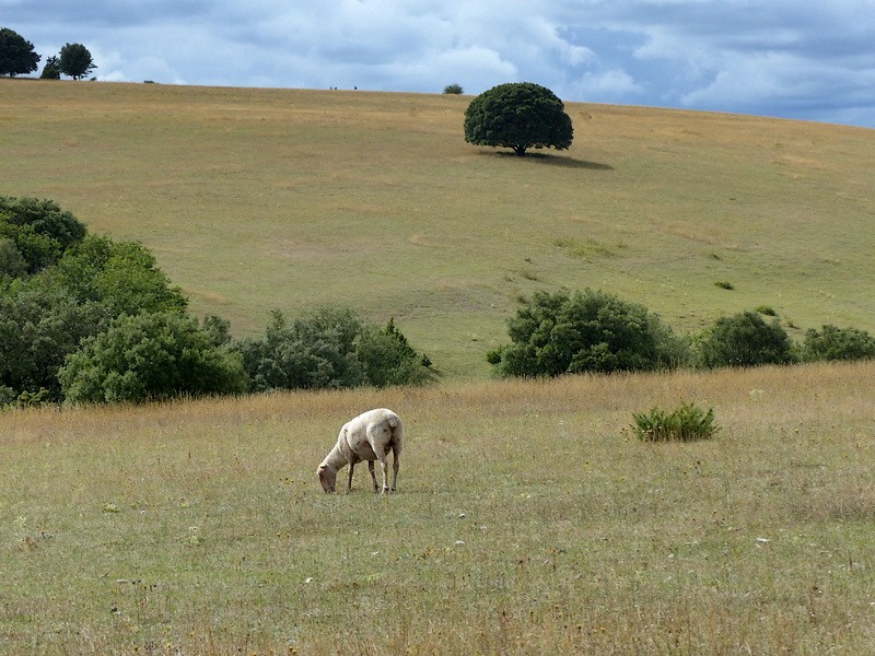 solitude