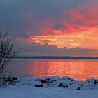 Solitude at Dümmer- .Lake