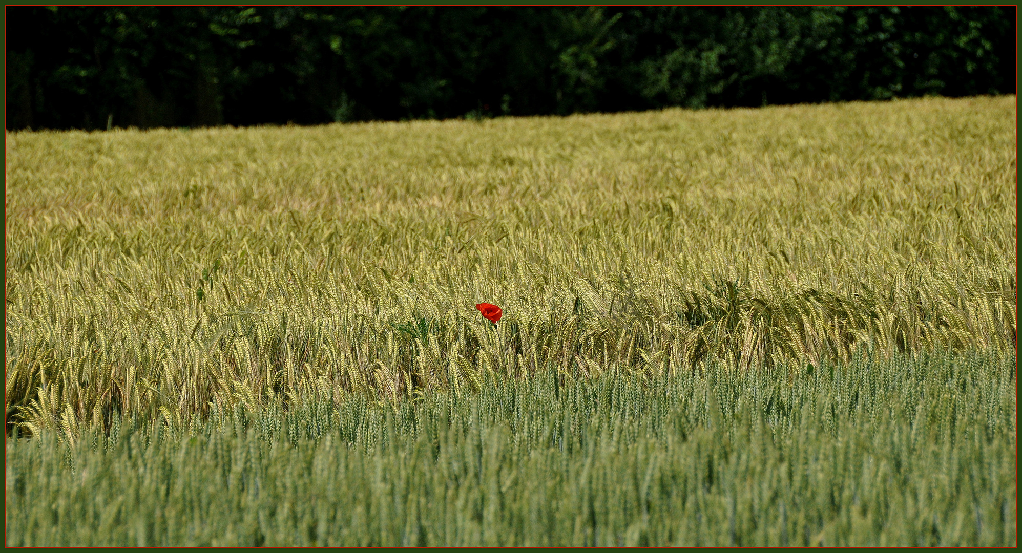 solitude