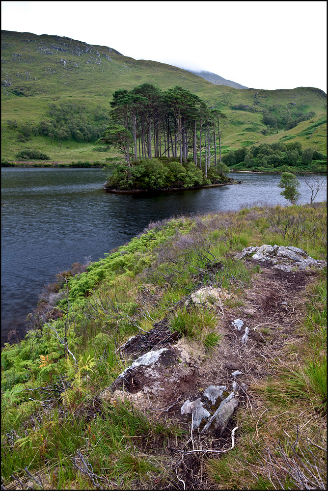 [ Solitude Island ]