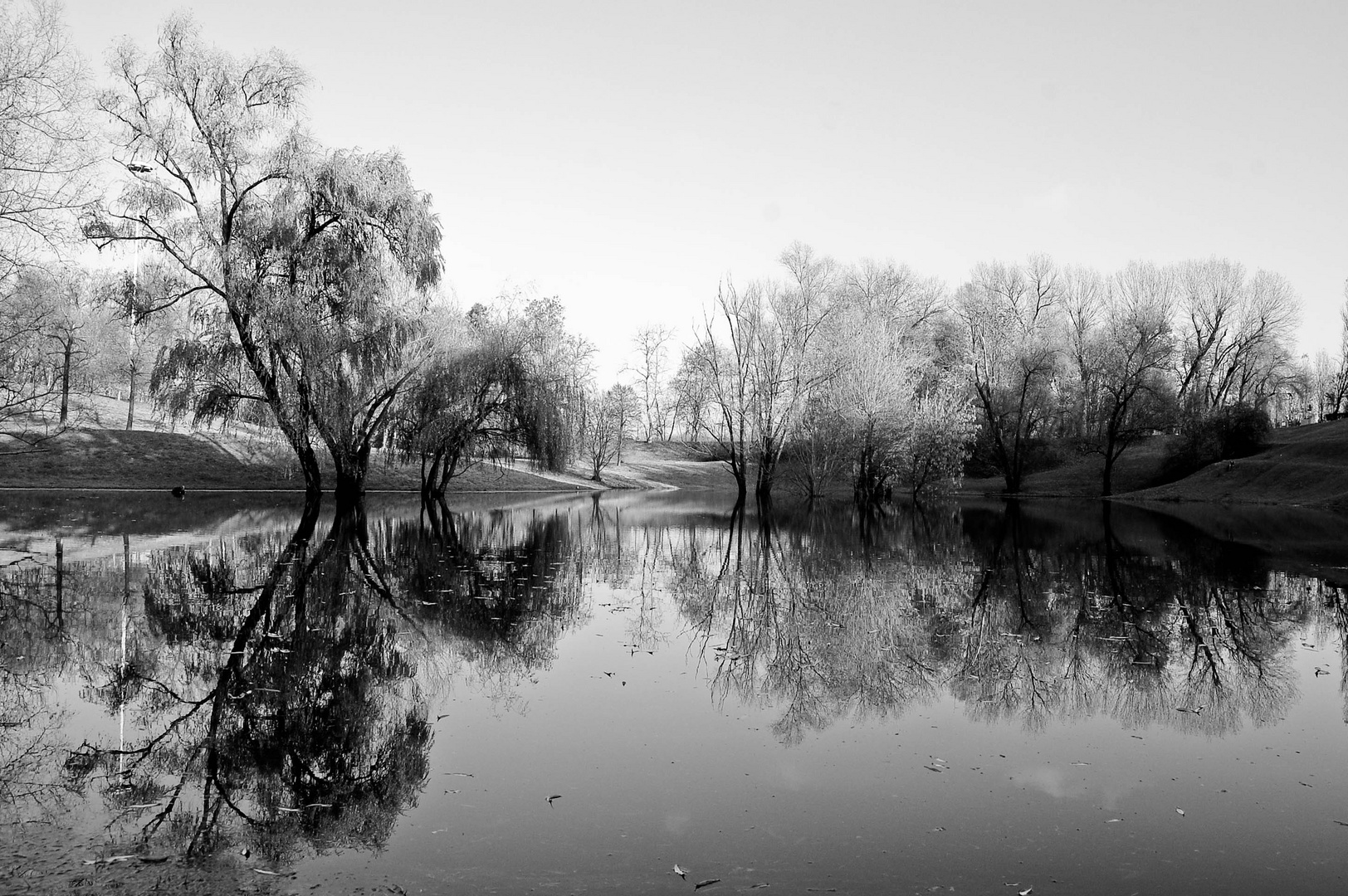 Solitude of winter