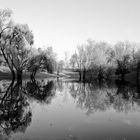 Solitude of winter