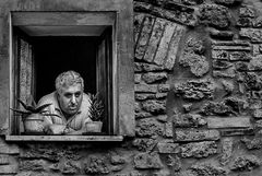 Solitudine a partecipazione stradale