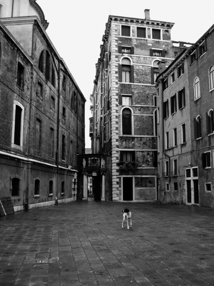 solitudine a Venezia